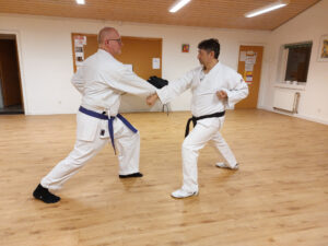 Knud og Mesud træner karate